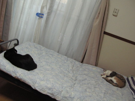 f:id:Hoshiba:20090117163049j:image f:id:Hoshiba:20090117163049j:image