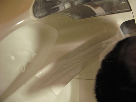 f:id:Hoshiba:20090518202719j:image f:id:Hoshiba:20090518202719j:image
