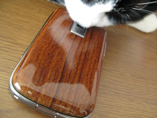 f:id:Hoshiba:20091128130557j:image f:id:Hoshiba:20091128130557j:image