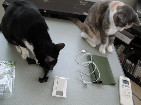 f:id:Hoshiba:20100710123400j:image f:id:Hoshiba:20100710123400j:image