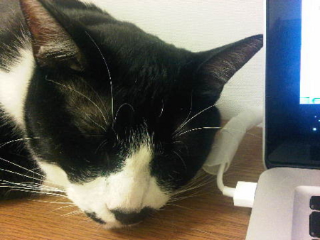 f:id:Hoshiba:20100813005132j:image f:id:Hoshiba:20100813005132j:image