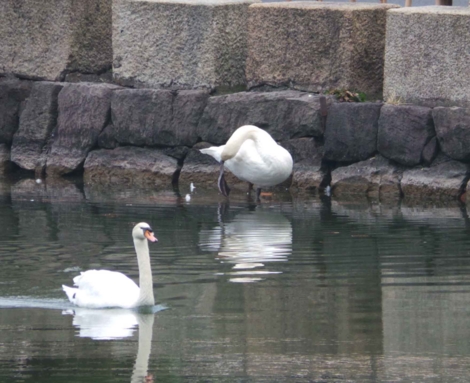 f:id:ICHIZO:20121216210852j:image