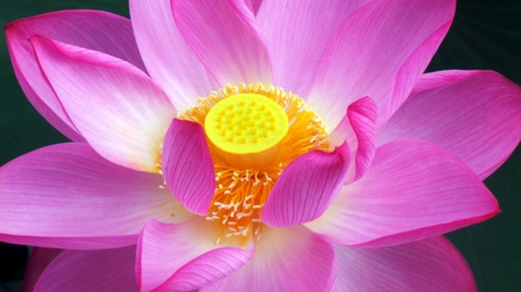 f:id:ICHIZO:20130728164617j:image f:id:ICHIZO:20130728164617j:image