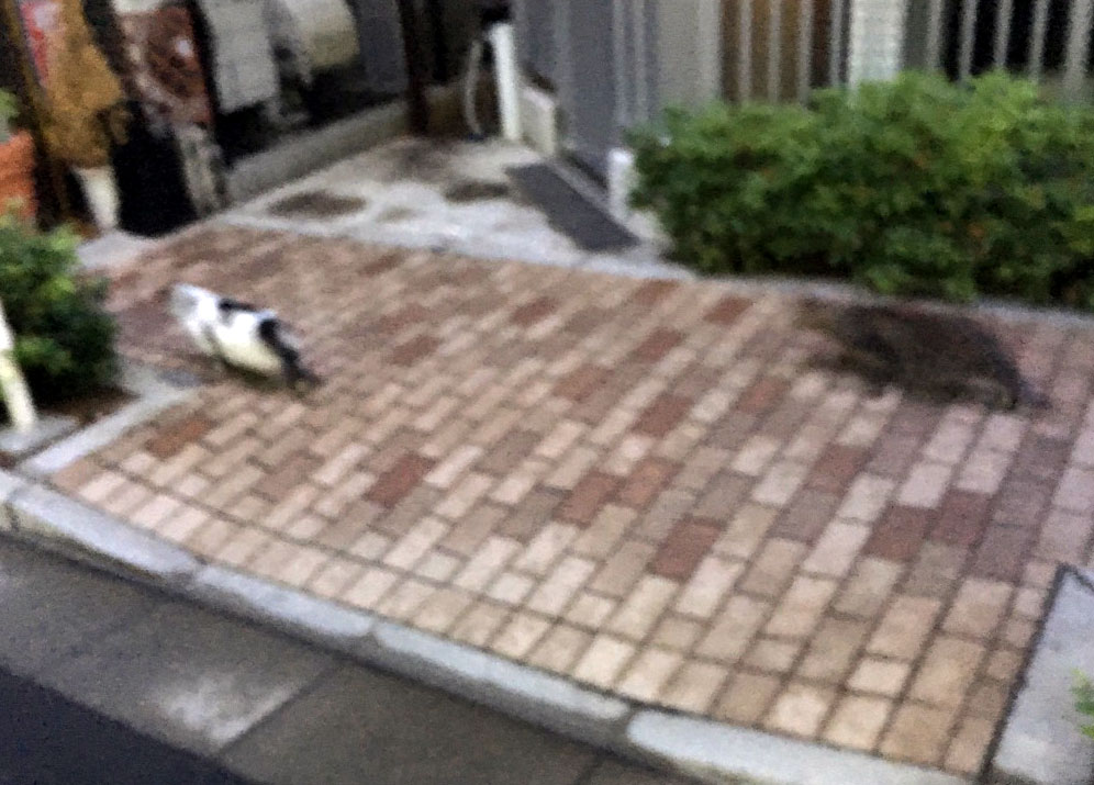 f:id:ICHIZO:20160608053158j:plain f:id:ICHIZO:20160608053158j:plain