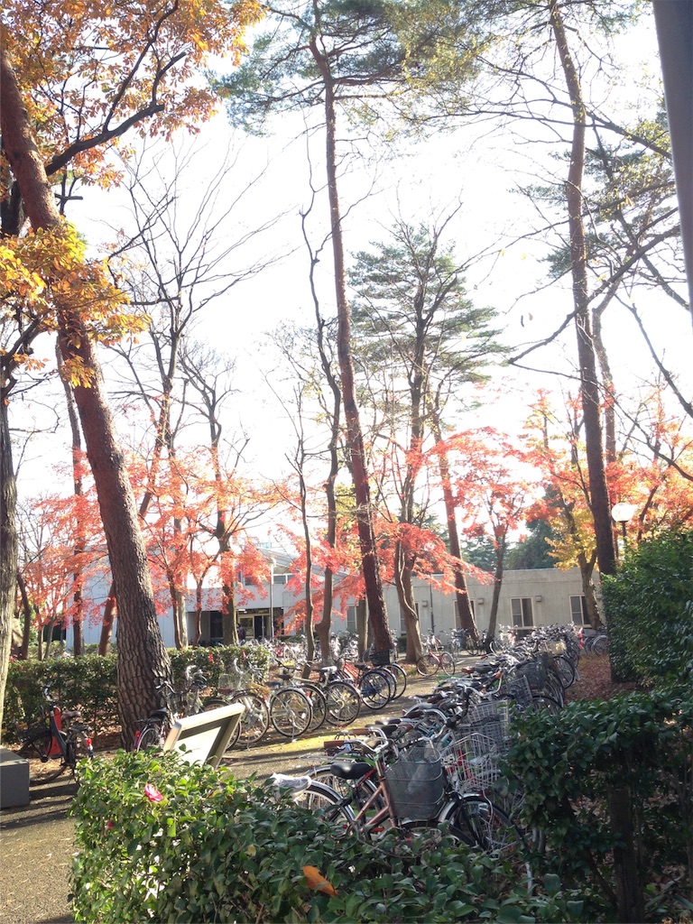 f:id:IKOMA_Tsubasa8:20151212142122j:image f:id:IKOMA_Tsubasa8:20151212142122j:image