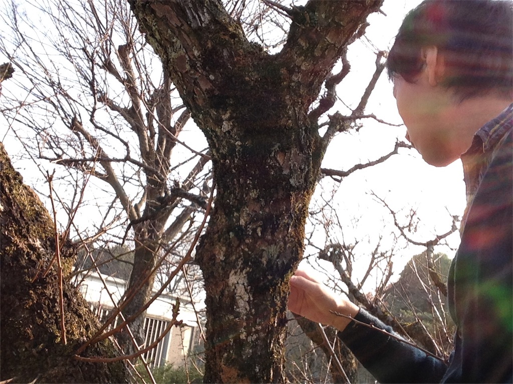 f:id:IKOMA_Tsubasa8:20151216140401j:image f:id:IKOMA_Tsubasa8:20151216140401j:image