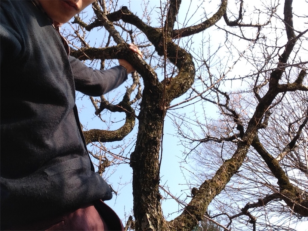 f:id:IKOMA_Tsubasa8:20151216140448j:image f:id:IKOMA_Tsubasa8:20151216140448j:image