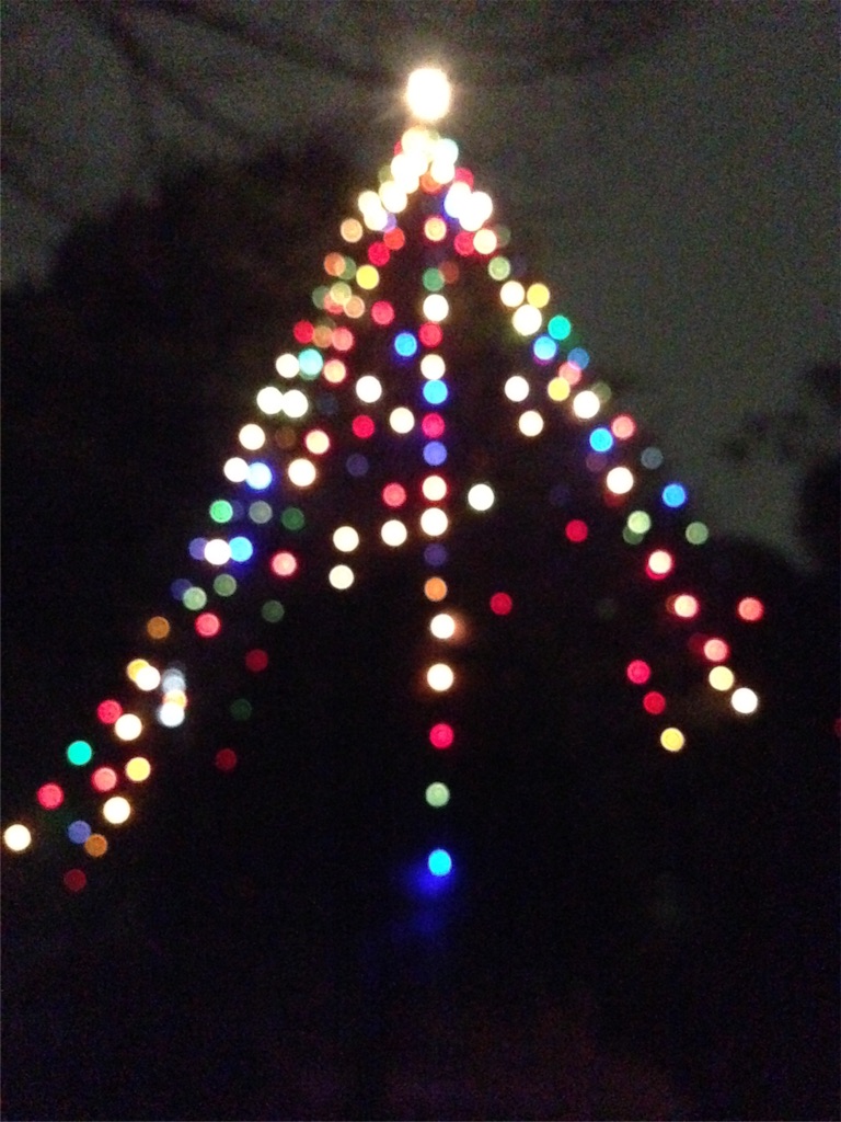 f:id:IKOMA_Tsubasa8:20151216220845j:image f:id:IKOMA_Tsubasa8:20151216220845j:image