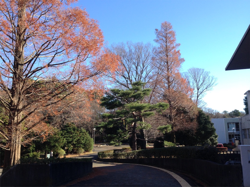 f:id:IKOMA_Tsubasa8:20151219110606j:image f:id:IKOMA_Tsubasa8:20151219110606j:image