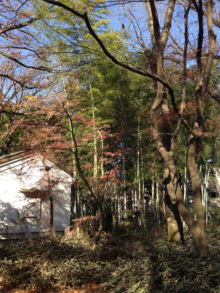 f:id:IKOMA_Tsubasa8:20151222231050j:image f:id:IKOMA_Tsubasa8:20151222231050j:image