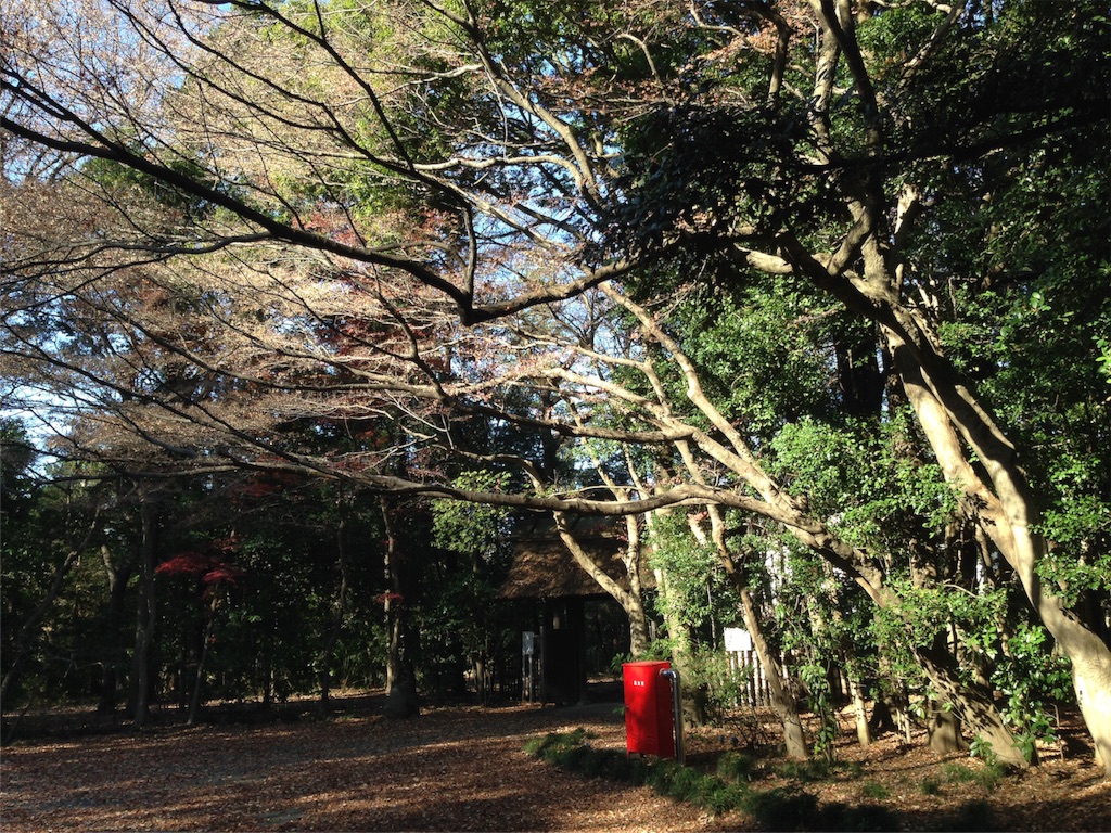 f:id:IKOMA_Tsubasa8:20151222231124j:image f:id:IKOMA_Tsubasa8:20151222231124j:image