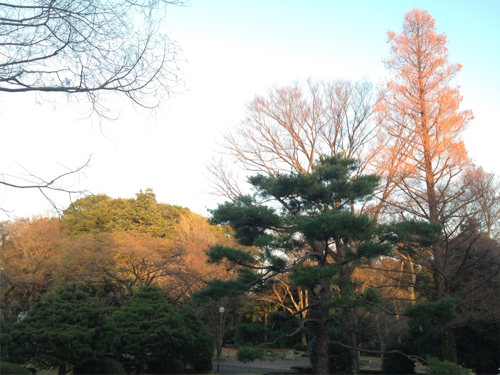 f:id:IKOMA_Tsubasa8:20151227113531j:image f:id:IKOMA_Tsubasa8:20151227113531j:image