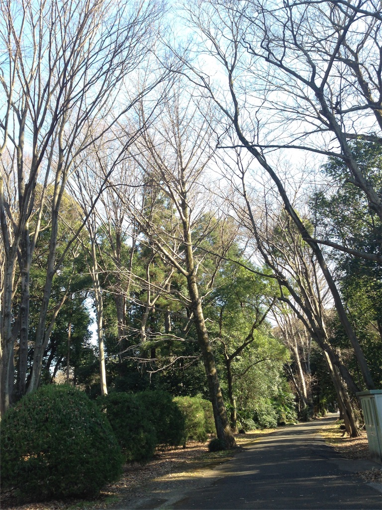 f:id:IKOMA_Tsubasa8:20160109205001j:image f:id:IKOMA_Tsubasa8:20160109205001j:image
