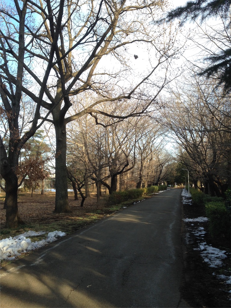 f:id:IKOMA_Tsubasa8:20160127221715j:image f:id:IKOMA_Tsubasa8:20160127221715j:image
