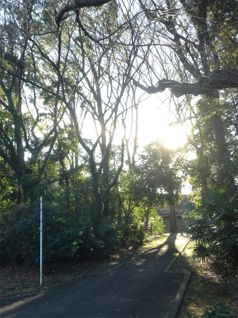 f:id:IKOMA_Tsubasa8:20160127221815j:image f:id:IKOMA_Tsubasa8:20160127221815j:image