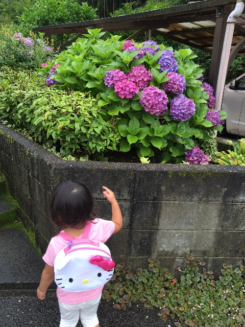f:id:IRONBOY91:20150706213205j:image f:id:IRONBOY91:20150706213205j:image