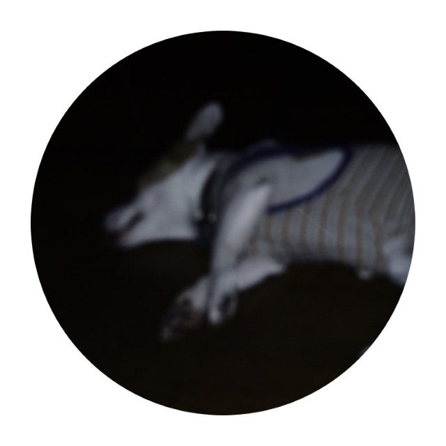 f:id:IRONBOY91:20150714132145j:image f:id:IRONBOY91:20150714132145j:image