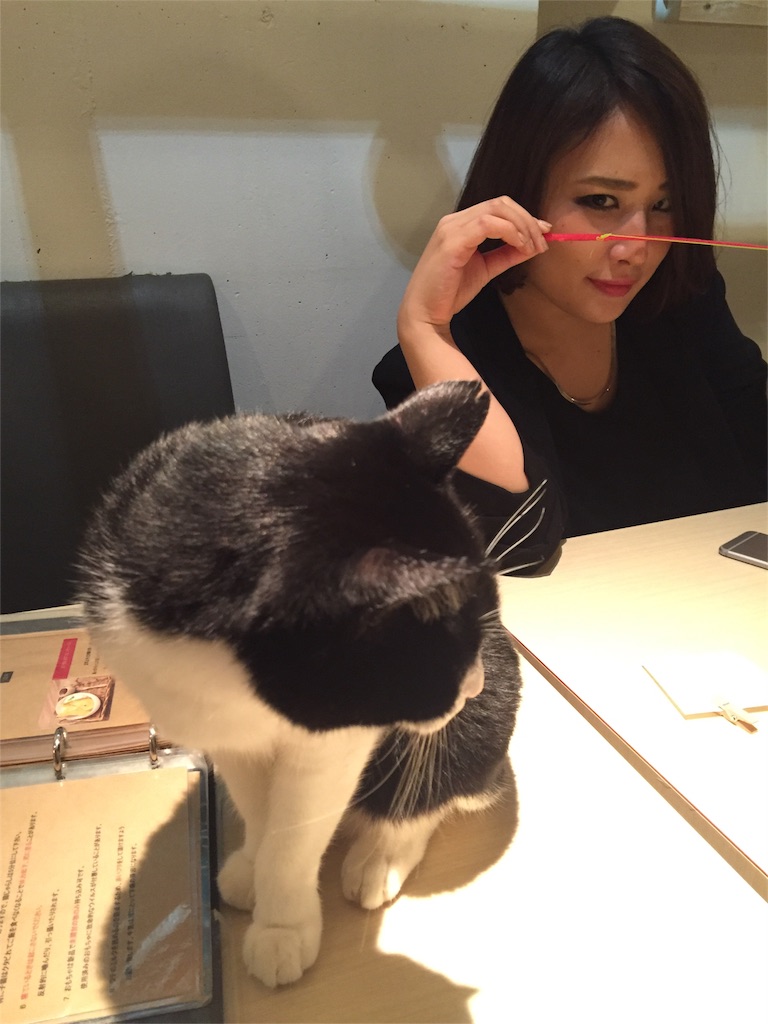 f:id:IRONBOY91:20151002173933j:image f:id:IRONBOY91:20151002173933j:image