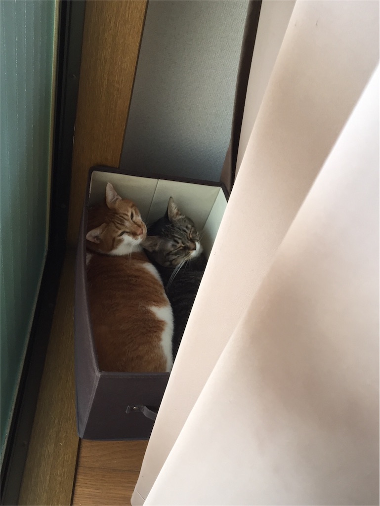 f:id:IRONBOY91:20151011134519j:image f:id:IRONBOY91:20151011134519j:image
