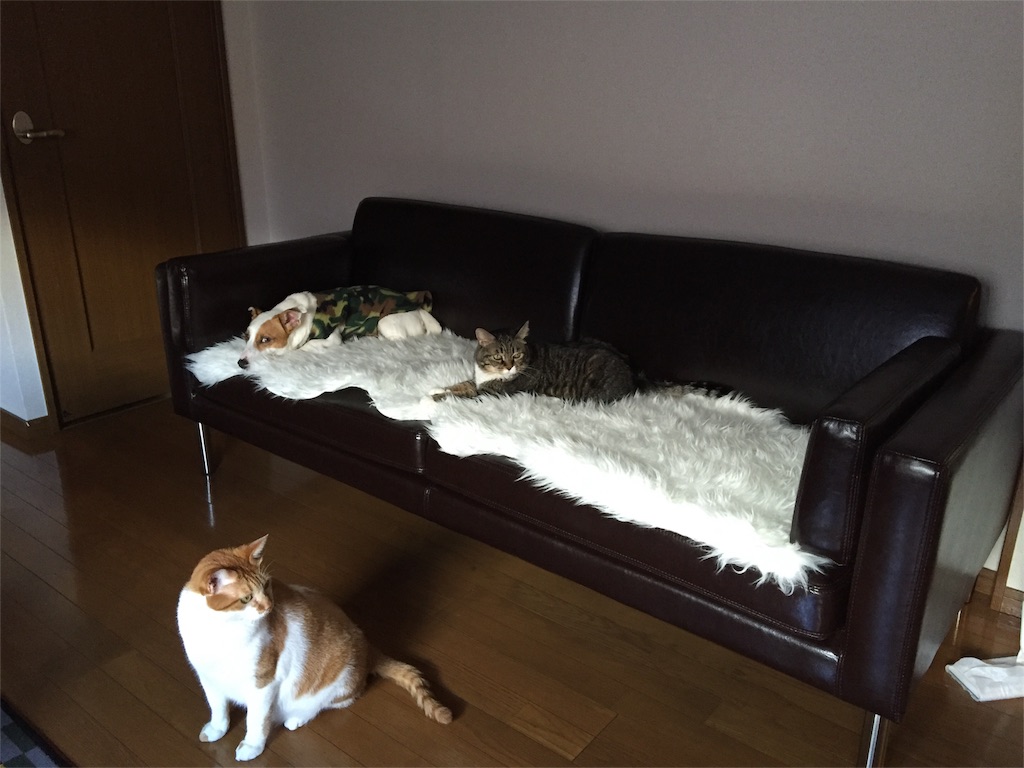 f:id:IRONBOY91:20151012161245j:image f:id:IRONBOY91:20151012161245j:image