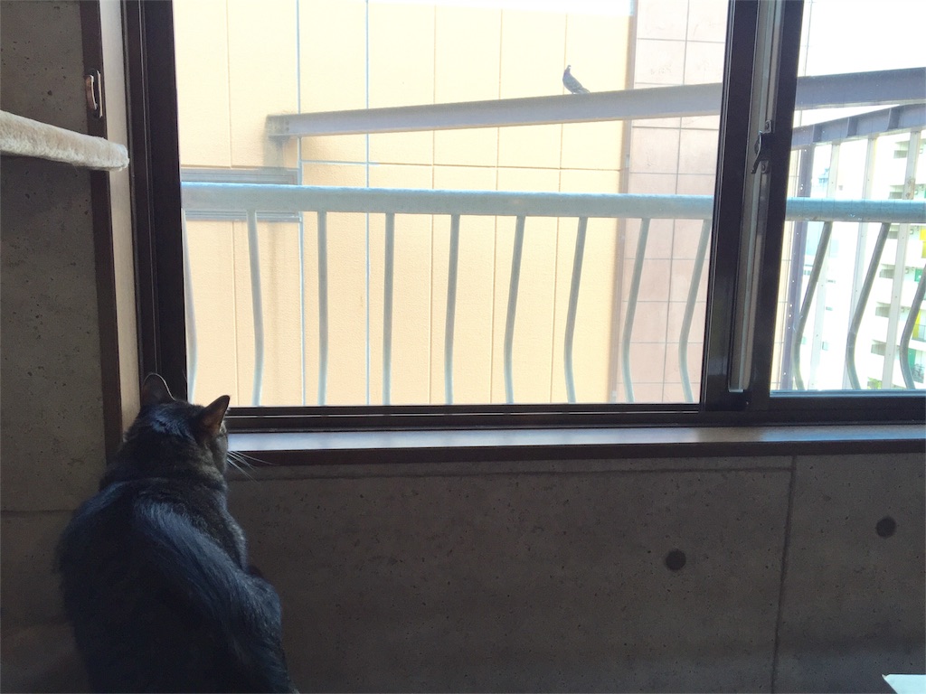 f:id:IRONBOY91:20151024214658j:image f:id:IRONBOY91:20151024214658j:image