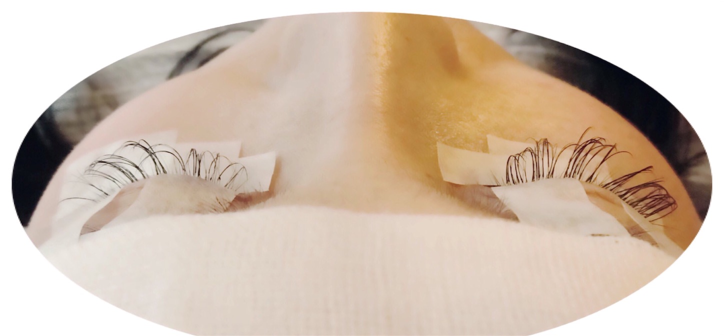 f:id:IRONBOY91:20151126150511j:image f:id:IRONBOY91:20151126150511j:image