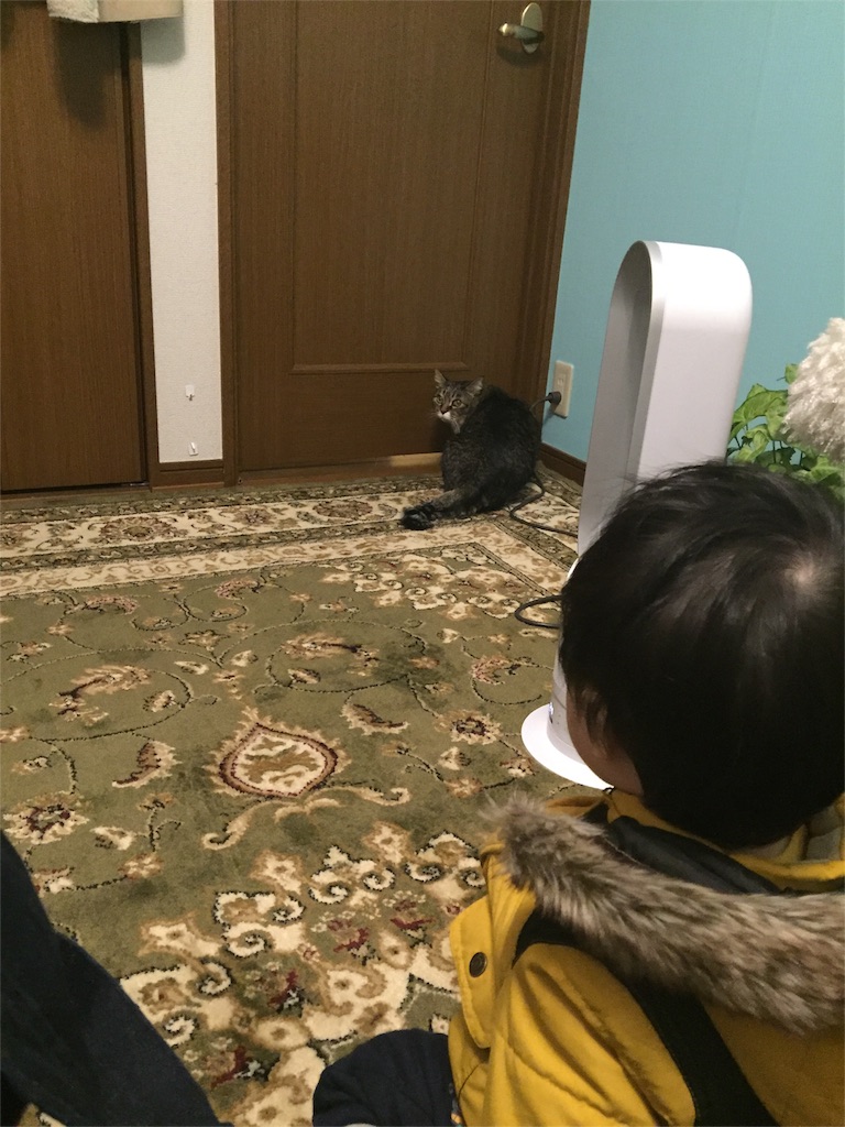 f:id:IRONBOY91:20160217201059j:image f:id:IRONBOY91:20160217201059j:image