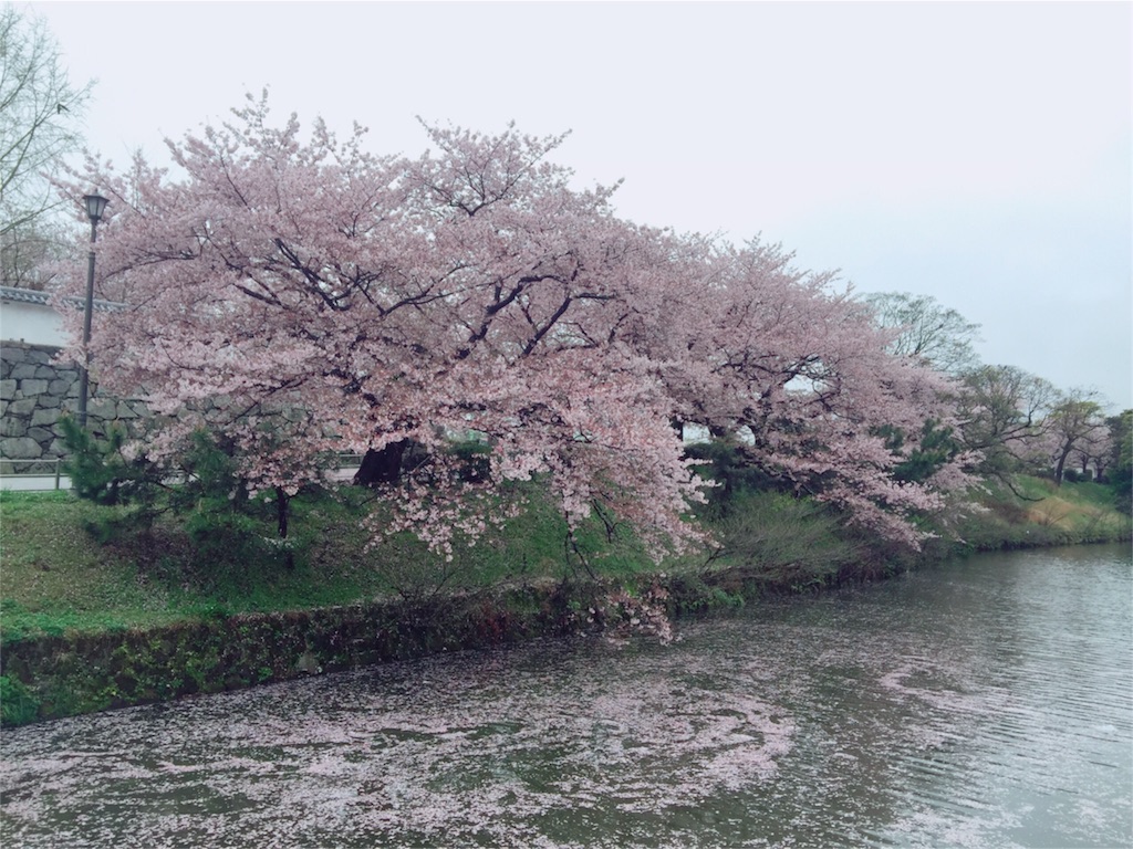 f:id:IRONBOY91:20160407151607j:image f:id:IRONBOY91:20160407151607j:image