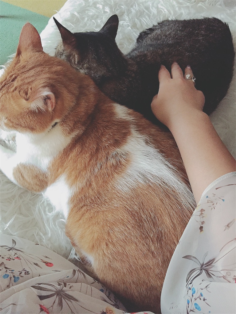 f:id:IRONBOY91:20160522175855j:image