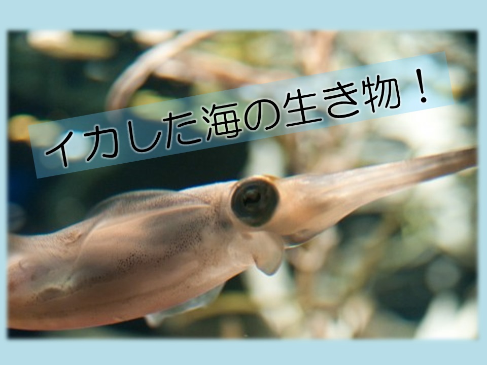 f:id:I_LoveScience:20150802114616j:plain f:id:I_LoveScience:20150802114616j:plain