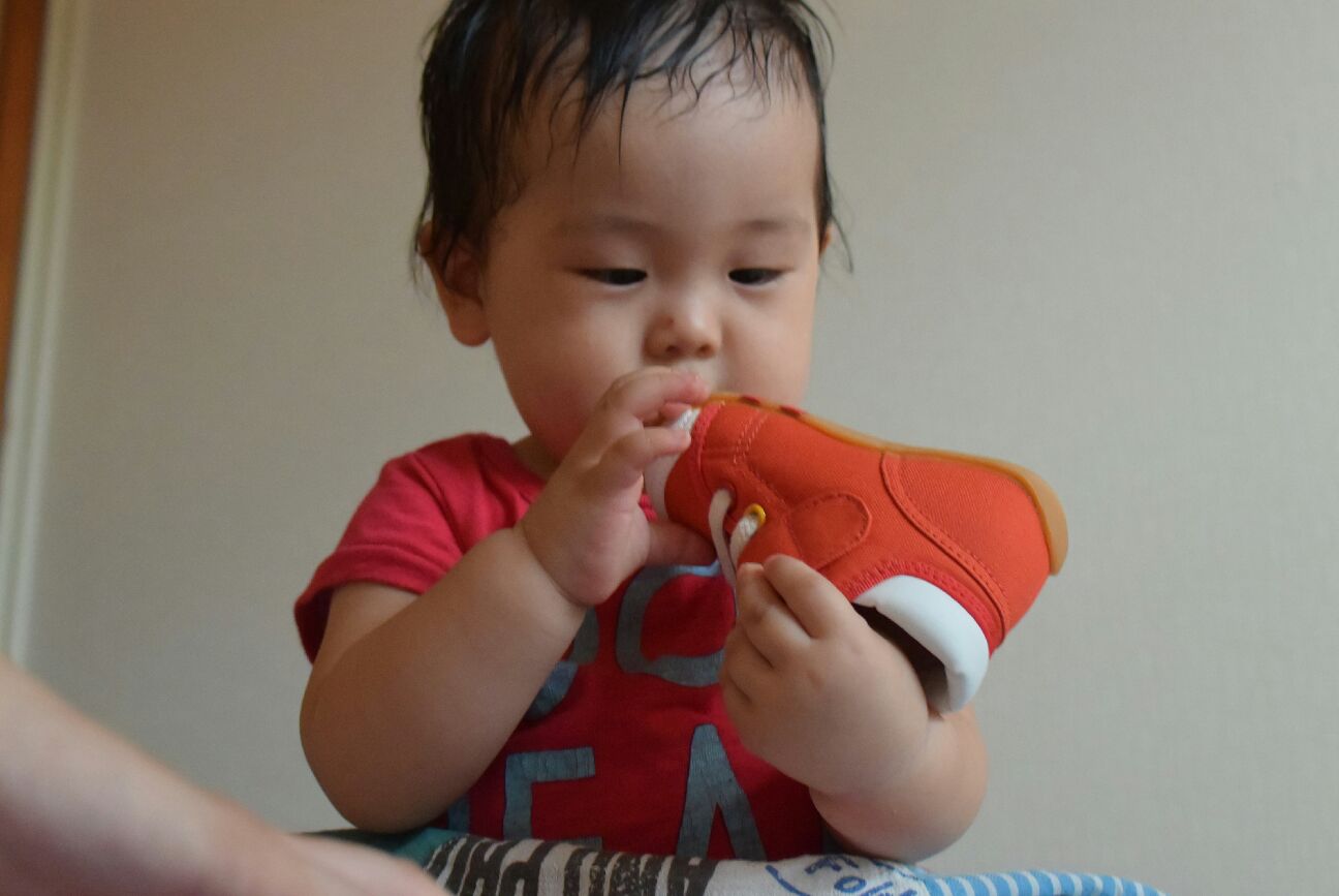 f:id:Ioannes:20150814224749j:plain