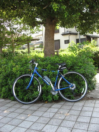 f:id:JEANA:20070810140448j:image f:id:JEANA:20070810140448j:image