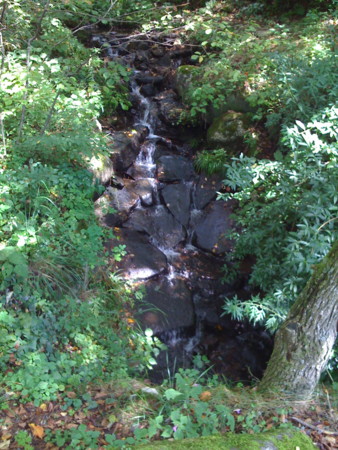 f:id:JEANA:20080914110327j:image f:id:JEANA:20080914110327j:image