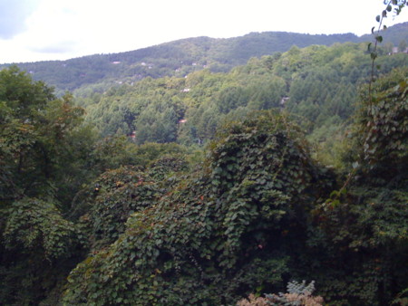 f:id:JEANA:20080914112530j:image f:id:JEANA:20080914112530j:image