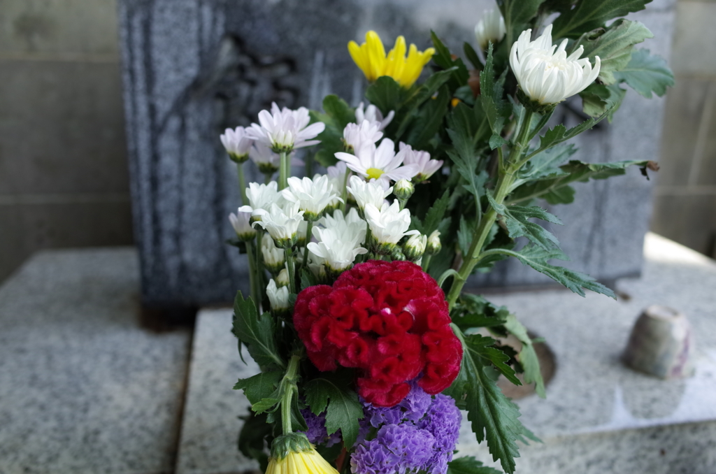 f:id:JEANA:20150815122528j:plain f:id:JEANA:20150815122528j:plain
