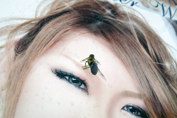 f:id:JHPB:20141123095913j:plain f:id:JHPB:20141123095913j:plain