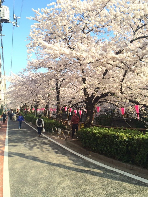 f:id:JIN1982:20150331090430j:plain f:id:JIN1982:20150331090430j:plain