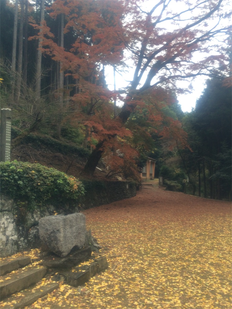 f:id:JIN1982:20151122171831j:image f:id:JIN1982:20151122171831j:image