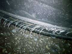 f:id:JM6JSY:20101027181241j:image f:id:JM6JSY:20101027181241j:image