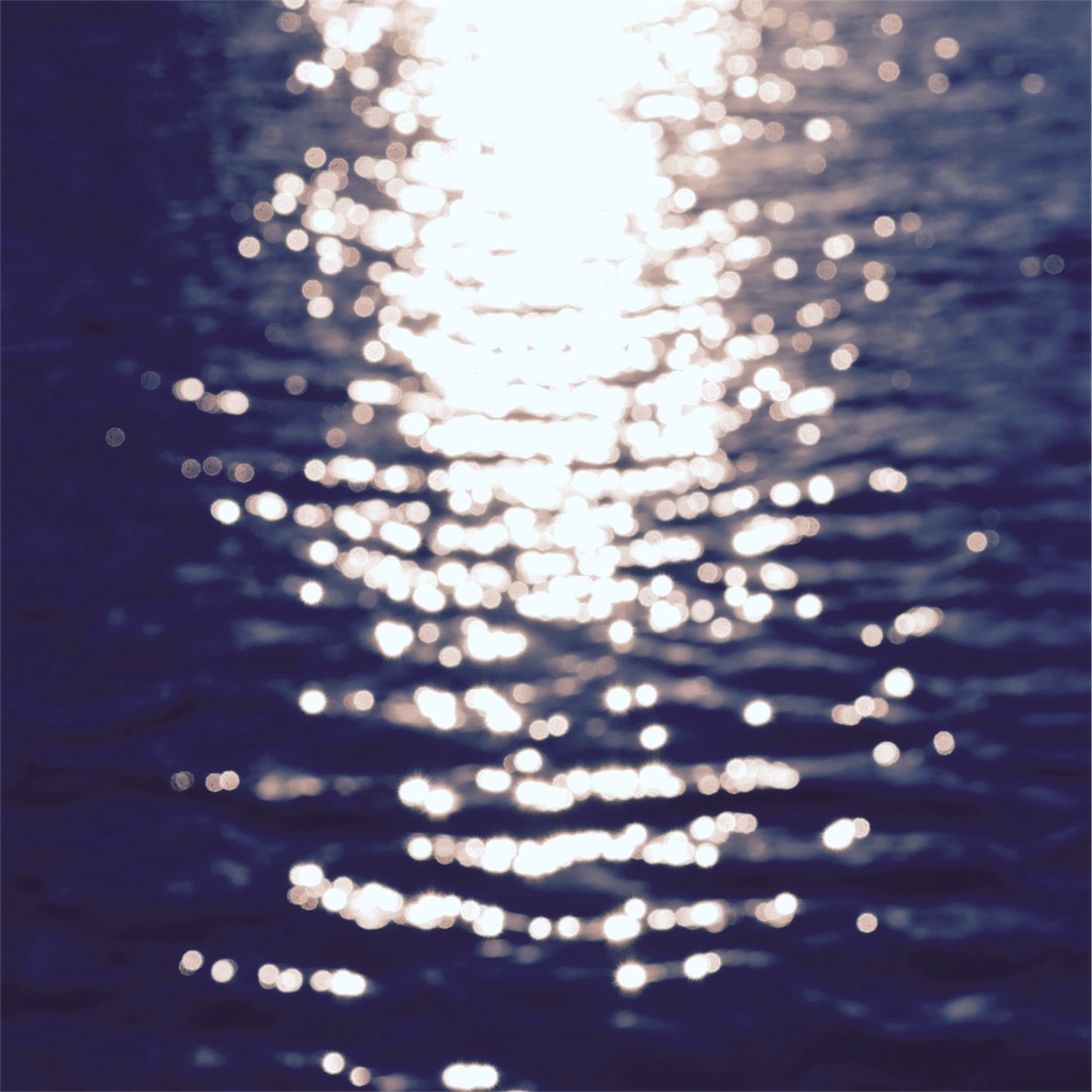 f:id:JNPI:20160616151424j:image f:id:JNPI:20160616151424j:image