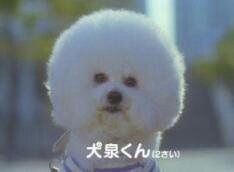 f:id:JaGaimo:20140515192042j:plain f:id:JaGaimo:20140515192042j:plain