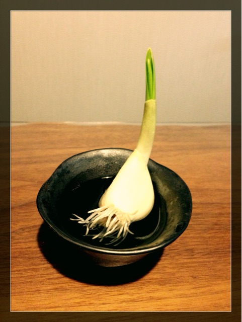 f:id:Jardina:20150408171332j:plain f:id:Jardina:20150408171332j:plain