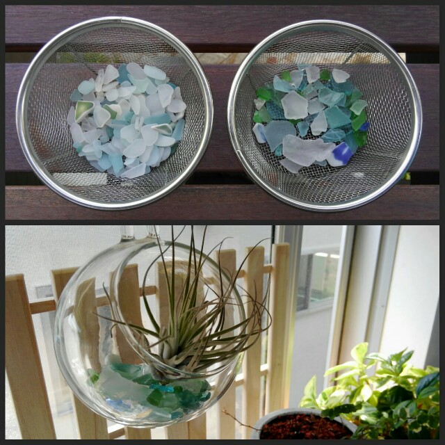 f:id:Jardina:20160523194509j:image f:id:Jardina:20160523194509j:image