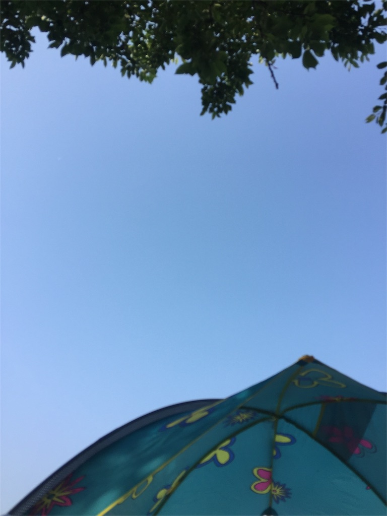 f:id:Jayk2016:20160531084037j:image f:id:Jayk2016:20160531084037j:image