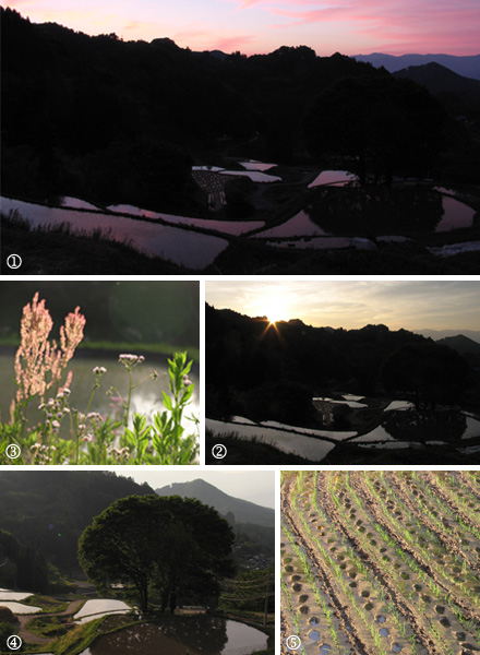 f:id:Jennysphotographs:20150526223546j:plain f:id:Jennysphotographs:20150526223546j:plain
