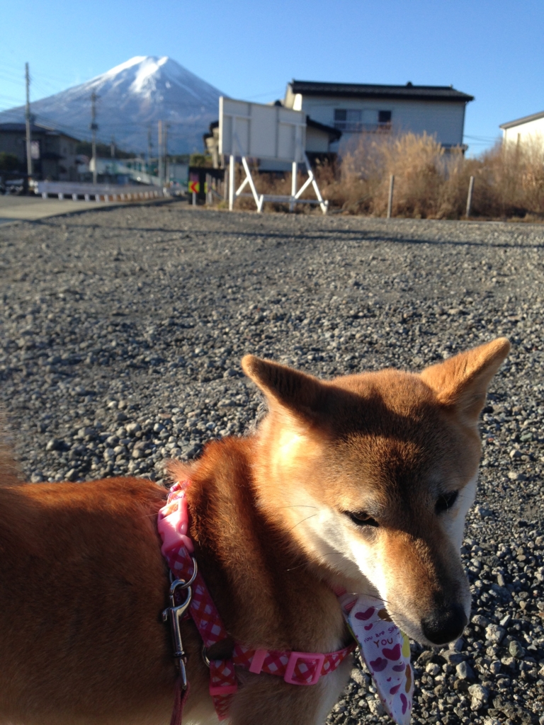 f:id:JunchanObachan:20160109214827j:plain