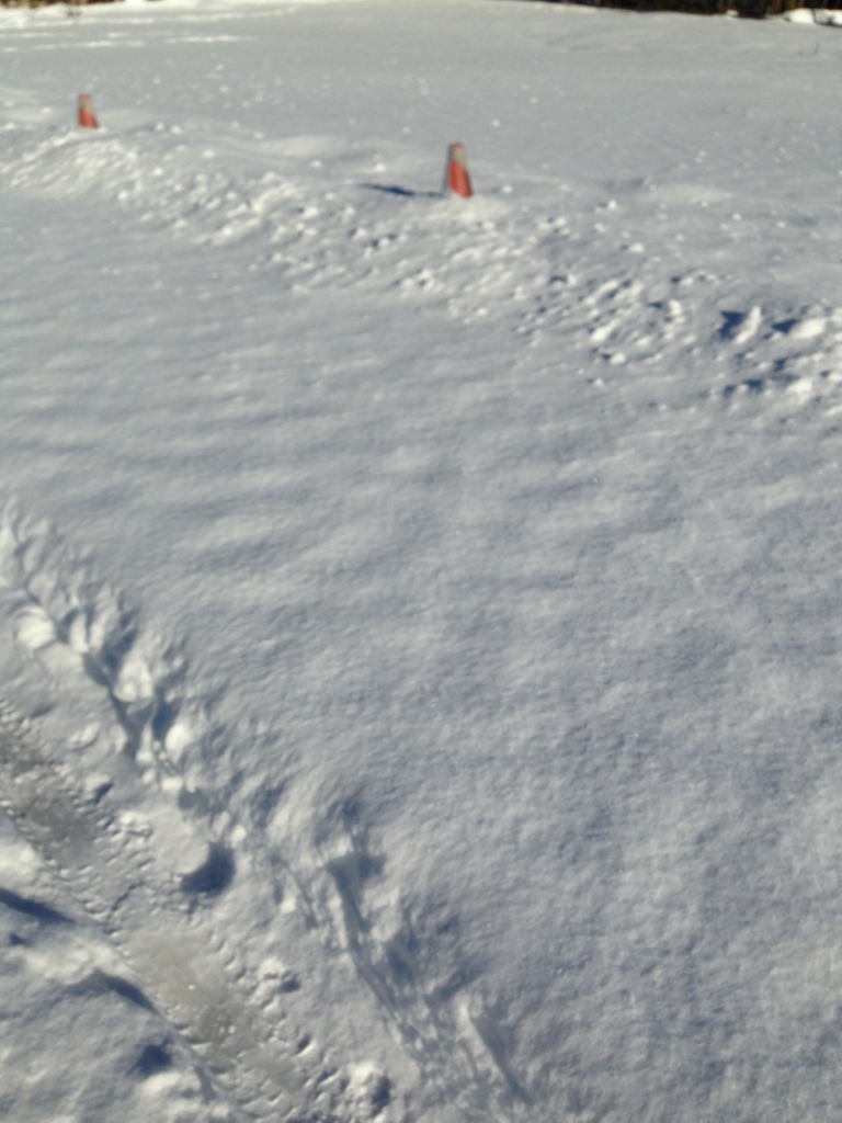 f:id:JunchanObachan:20160119092337j:plain