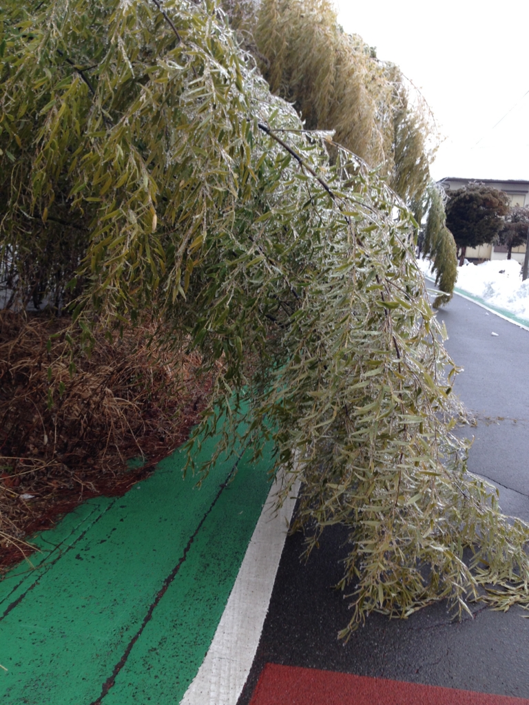 f:id:JunchanObachan:20160131071201j:plain