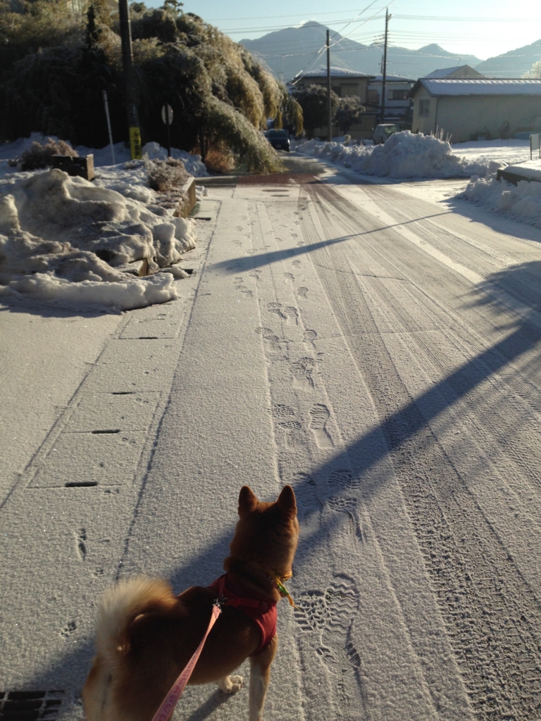 f:id:JunchanObachan:20160131191834j:plain