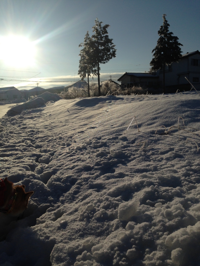 f:id:JunchanObachan:20160131192138j:plain